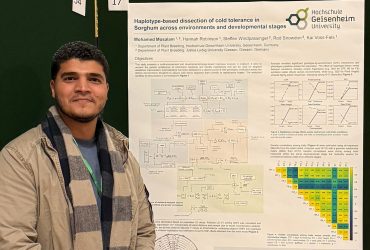Mohamed Mosalam - Alumni emPLANT